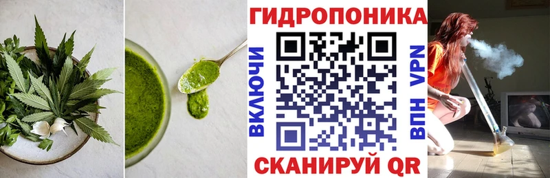 Canna-Cookies марихуана  где найти   Яранск 
