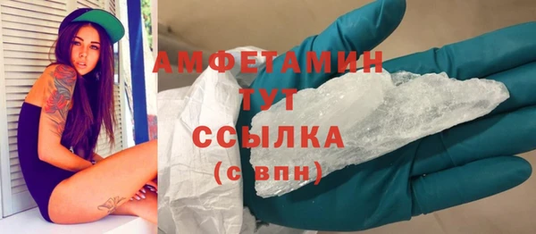 индика Абаза