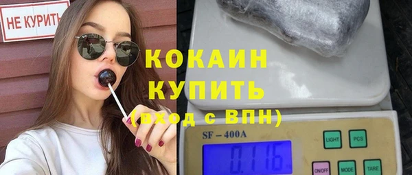 индика Абаза