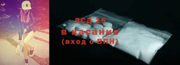 индика Абаза