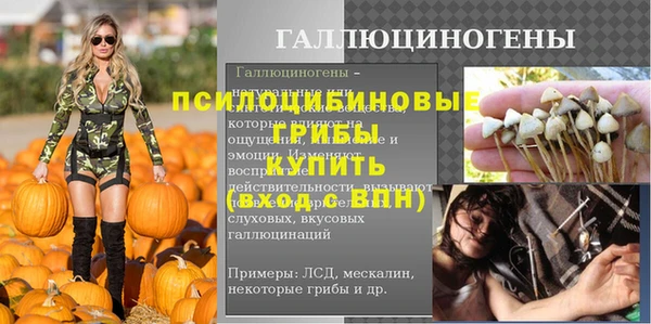 apvp Новодвинск